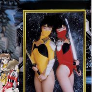 THI-09 Heroine Excretion Torture 09 THI-09 Heroine Excretion Torture 09 Rin